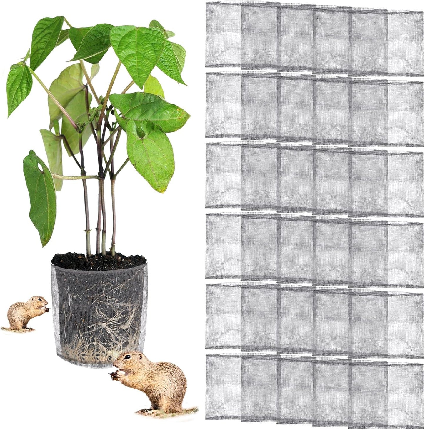 30 Pcs 3 Gallon Gopher and Vole Wire Mesh Basket Bulk Stainless Steel Plant Root Protector Gopher Cages for Garden Planting Underground Plant Protection