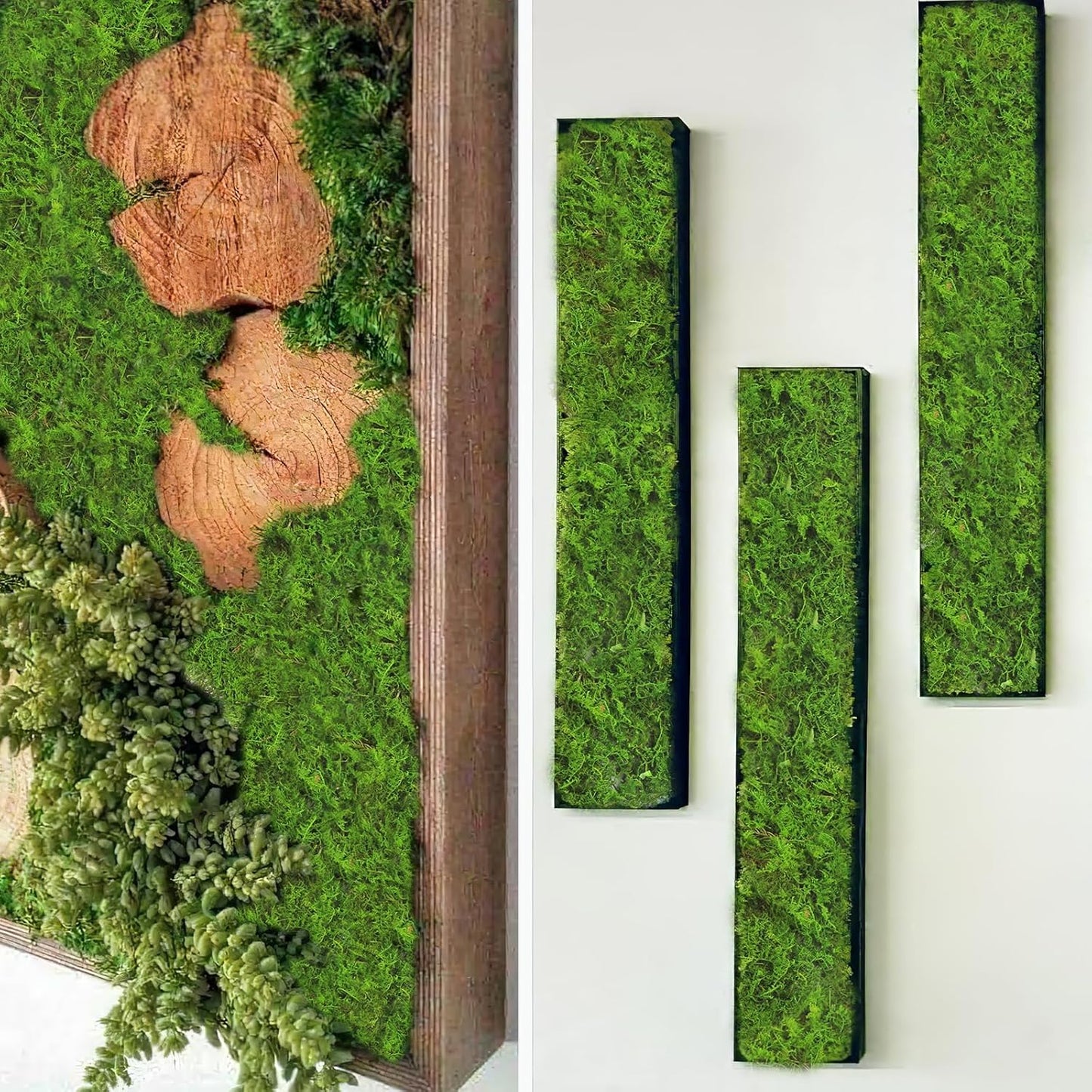 2 Pcs Preserved Sheet Moss for Potted Plants 2 sq.ft. Dried Natural Preserved Moss Mat Green Moss Sheets for Planters Crafts Woodland Decor Garden Party Decorations Wall Art DIY Project Green