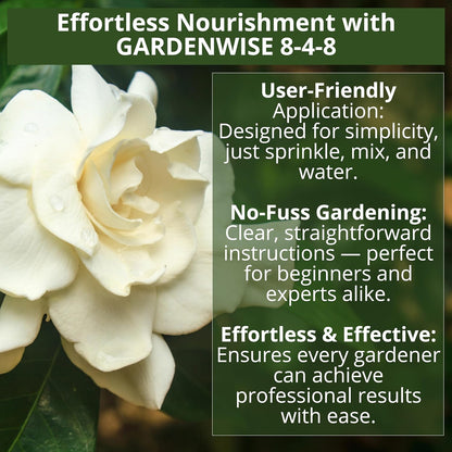 8-4-8 Acidic Fertilizer for Azaleas, Camellias (Camelia), Hydrangeas, Blueberries, Gardenias, Magnolia Trees, Evergreens, and Rhododendrons - Ideal Iron-Rich Plant Food (12 OZ)