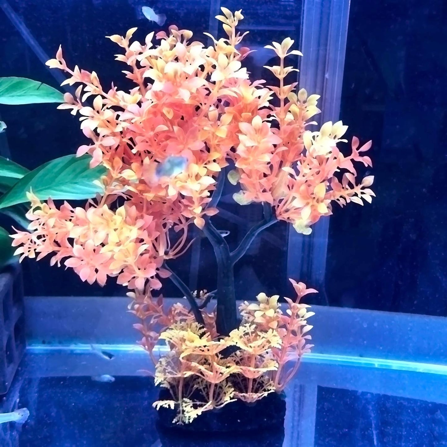 Mipukbay Aquarium Plants Tree - Orange Artificial Plastic Fish Tank Decor, Realistic Ornament Safe for Fish & Shrimp, Low-Maintenance Aquascaping Plants for Freshwater/Saltwater Tank Landscaping