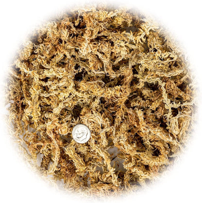 Gardenera Premium New Zealand Sphagnum Moss - Organic Hand Mixed Long Fibered Sphagnum Moss Orchid - 5 Quart