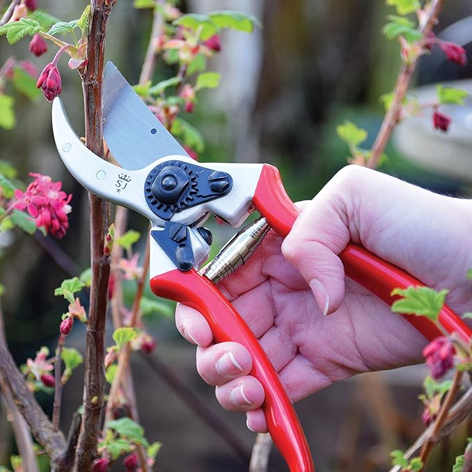 Spear & Jackson 6959BS Razorsharp Professional Ergonomic Handle Bypass Pruner