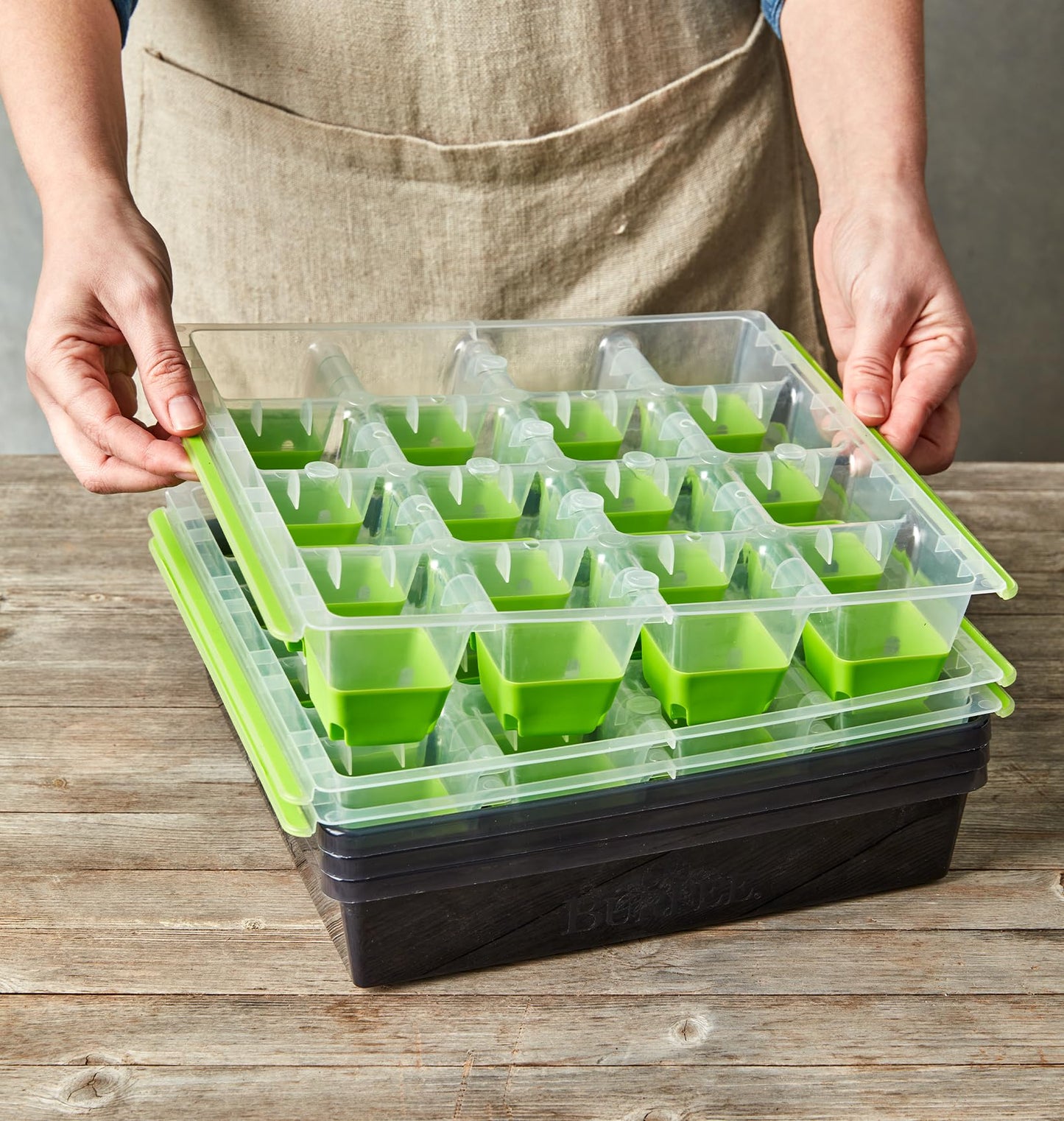 Burpee SuperSeed Starting Tray | 16 XL Cell | Reusable & Dishwasher Safe | for Vegetable, Flower &