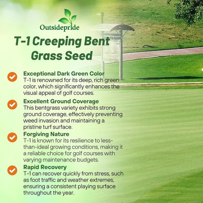Outsidepride T-1 Creeping Bentgrass Seed - 1 lbs Fine-Bladed, Premium Quality Turf, Grass Seed for Smooth Surface, & High-Traffic Areas, Ideal Grass for Golf Courses Putting Greens, & Fairways