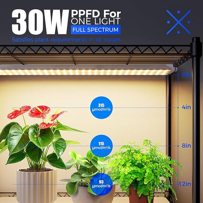 Barrina CX2 Plant Stand with Grow Lights for Indoor Plants, 6-Tier Metal Plant Shelf Display Rack with 2FT 30W Per Full Spectrum Plant Light, 3 Adjustable Spectrum, Timer, for Growing, 29.5x13.8x71IN