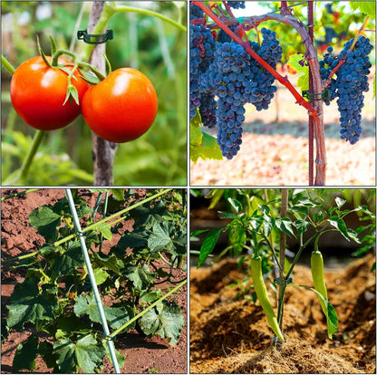 Plant Support Clips 100 PCS, Tomato Vine Clips, Tomato Trellis Plastic Clips, Garden Vine Fixing Clips - for Climbing Plants, Tomato, Grape, Vegetables and Plants Stalks