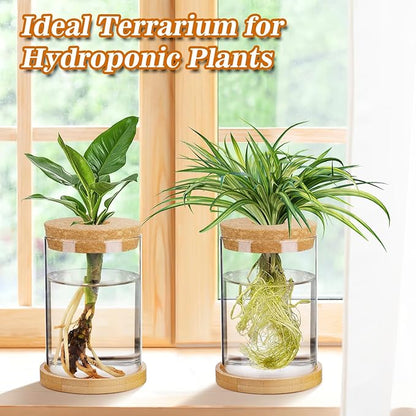 Plants Propagation Station - 2Pcs Desktop Plant Terrarium Glass Hydroponic Vases, Water Plant Propagating Jars, Gardening Gifts for Women Mom Plant Lovers (Thick Straight Shape, Separated Tray Style)