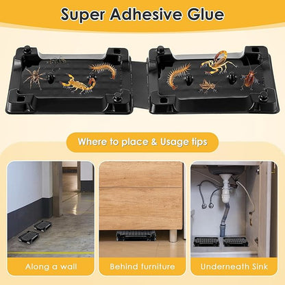 Qualirey 12 Scorpion Glue Tray Traps, Adhesive Scorpion Killer Indoor, Pet and Children Safe, Scorpion Repellent, Insect Traps Indoor, Sticky Bug Catcher for Basement, Bathrooms and Garage