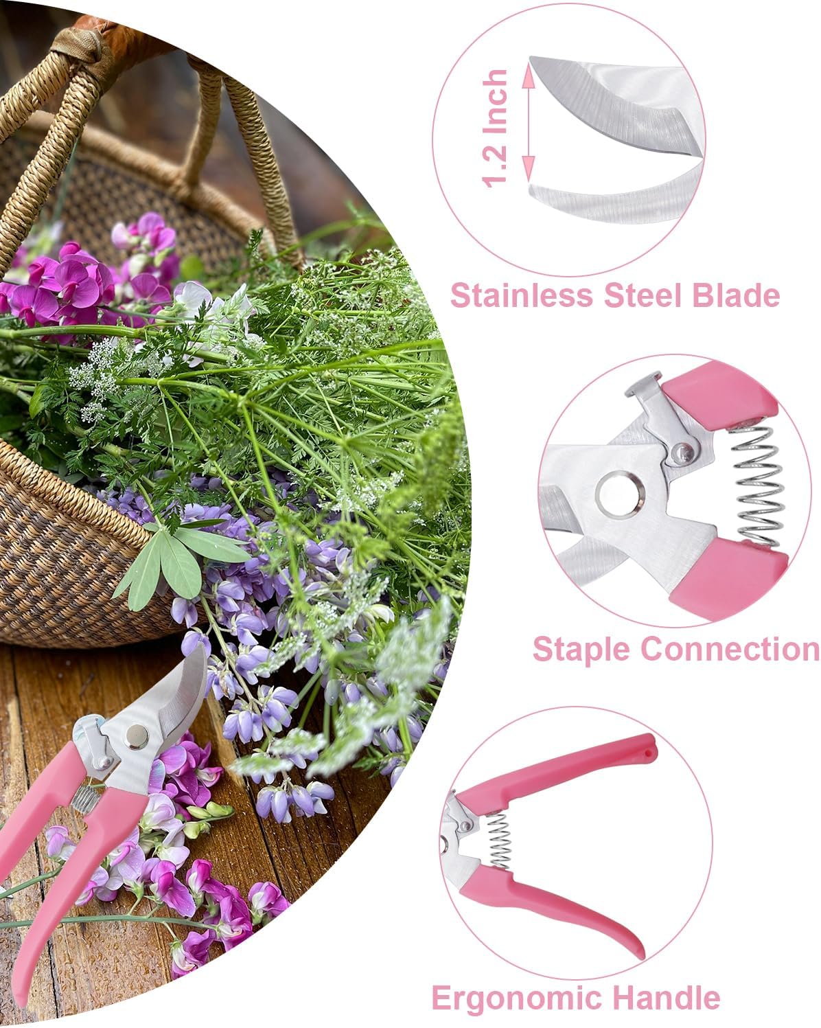 Pruning Shears for Gardening, 4 Pack Garden Scissors for Cutting Fresh Flowers, Floral Clippers for Plants, Fruits (Pink, Green, Blue, Black)