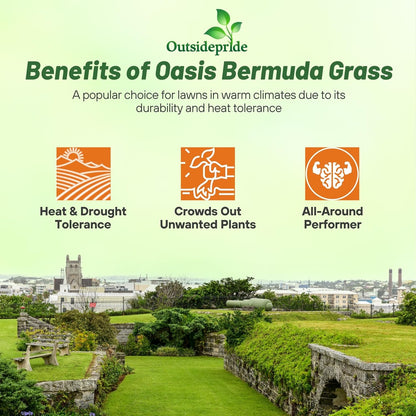 Outsidepride Oasis Bermuda Grass Seed - 10 lbs Warm Season, High Traffic, Heat Resistant, Drought-Tolerant, Low-Maintenance, Fast Growing Turf Grass for Lawn, Ideal for Sunny Areas, Thick Coverage