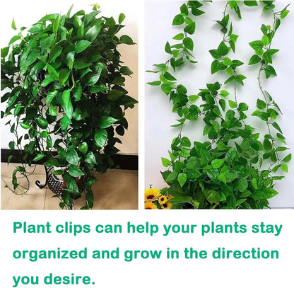 100Pcs Plant Vine Wall Clips Hooks for Climbing Plants, Invisible Self-Adhesive Plant Climbing Fixture Fixer Holder Wall Vine Hanging Clip Indoor Outdoor Cable Wire Fixing