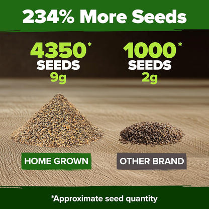 HOME GROWN Arugula Seed 2 Pack – 4350 𝗡𝗢𝗡-𝗚𝗠𝗢 𝗨𝗦𝗔 Vegetable Seeds – Ideal Seeds for Hydroponic Garden Indoor – Premium and Heirloom Arugula Seeds for Planting (Eruca vesicaria)