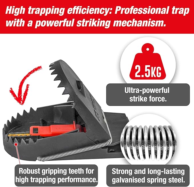 SWISSINNO Rat Trap PRO SuperCat – Large Snap Trap with Precision Trigger – Pre-Baited & Reusable – Instant Catch – Weather-Resistant Swiss Design for Indoor & Outdoor Use – 1 Trap