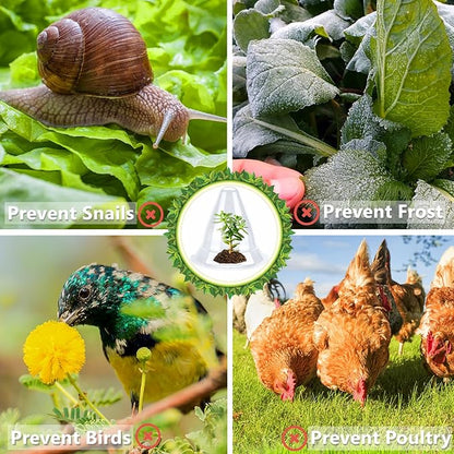 【10 Pieces】 Garden Cloches for Plants, Large Plant Covers Plant Protectors Transparent Bell Jar Cloches to Protect Plants from Birds, Slugs, Frost, Freeze Weather, 10.6" D x 9.5" H, Transparent