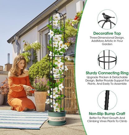 Garden Obelisk Trellis for Climbing Plants Outdoor 6.2 Ft Rose Bush Round Trellis for Pots Rustproof Metal Plant Flower Trellises for Clematis Vine Jasmine Support Outdoor Indoor (Black, 6.2ft)