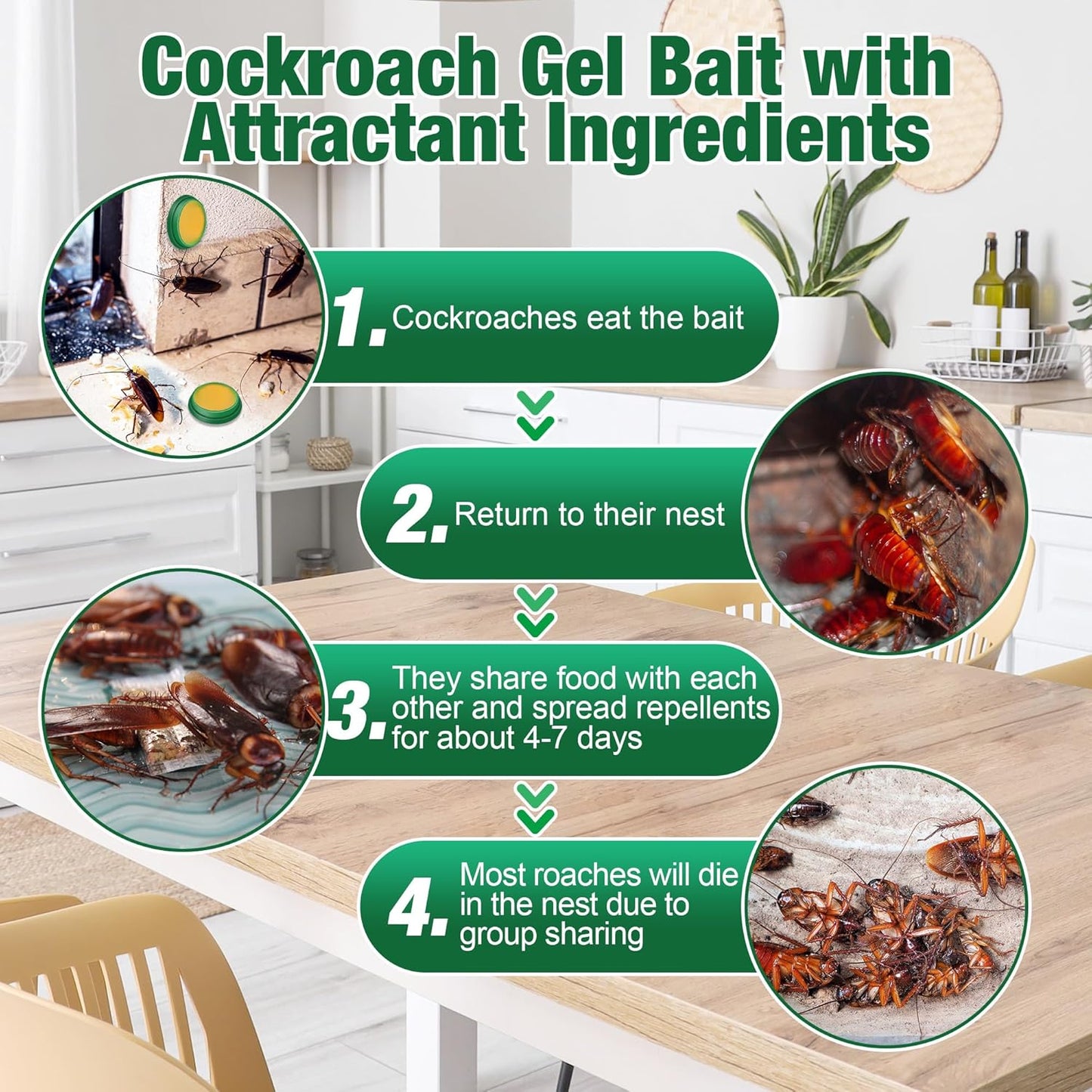 48 Pack Cockroach Gel Bait & Roach Killer Indoor for Home, Powerful Roach Repellent Bait Trap Infestation Solution, Easy to Use Cockroach Deterrent Indoor Outdoor for Kitchen Home RV Corner Pet Safe