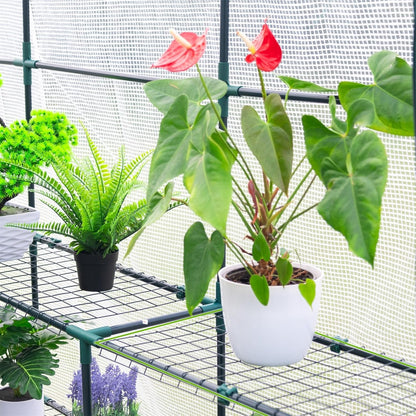 Walk-in Greenhouse 56”x29”x77” – 3-Tier 4 Shelves, Heavy Duty PE Cover, Roll-Up Door & Mesh Windows, Portable Indoor Outdoor Plant Greenhouse for Backyard Patio Balcony