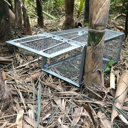 Gingbau Rat Trap Humane Live Mouse Chipmunk Trap Cage – Medium, 12.3" x 6.6" x 5.3"
