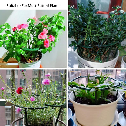 Belit 8 Pack Small Plant Support Plant Stakes, Garden Flowers Green Plant Support Ring, Planter Support Ring for Schlumbergera, Clivia, Vegetables, 5.5" Wide x 9.8" High