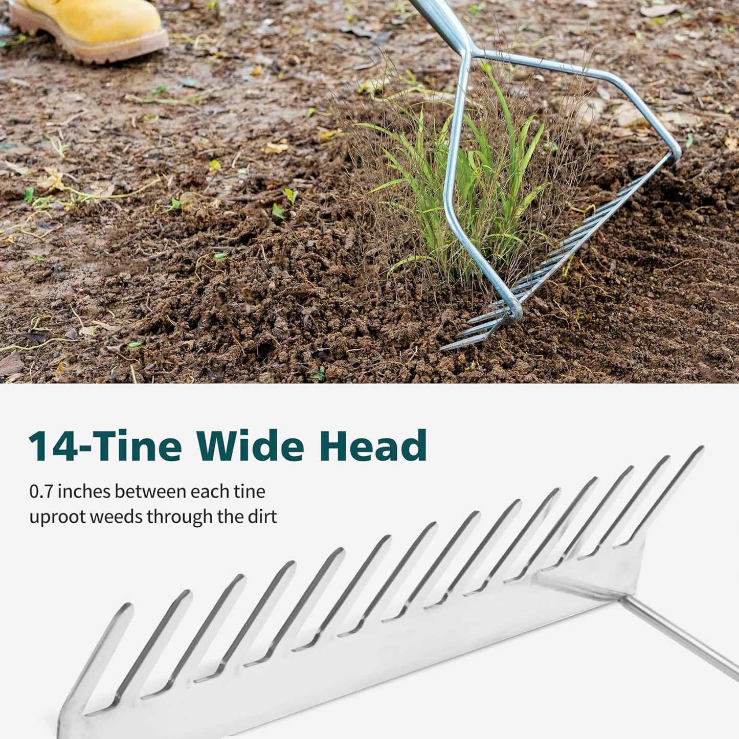 Berry&Bird 14 Tines Bow Rake for Gardening, 63-inch Garden Rakes Heavy Duty with Wooden Long Handle Stainless Steel Hard Rake for Lawn Loosening Soil, Weeding, Cleaning Leaves & Grass Cultivator Tool