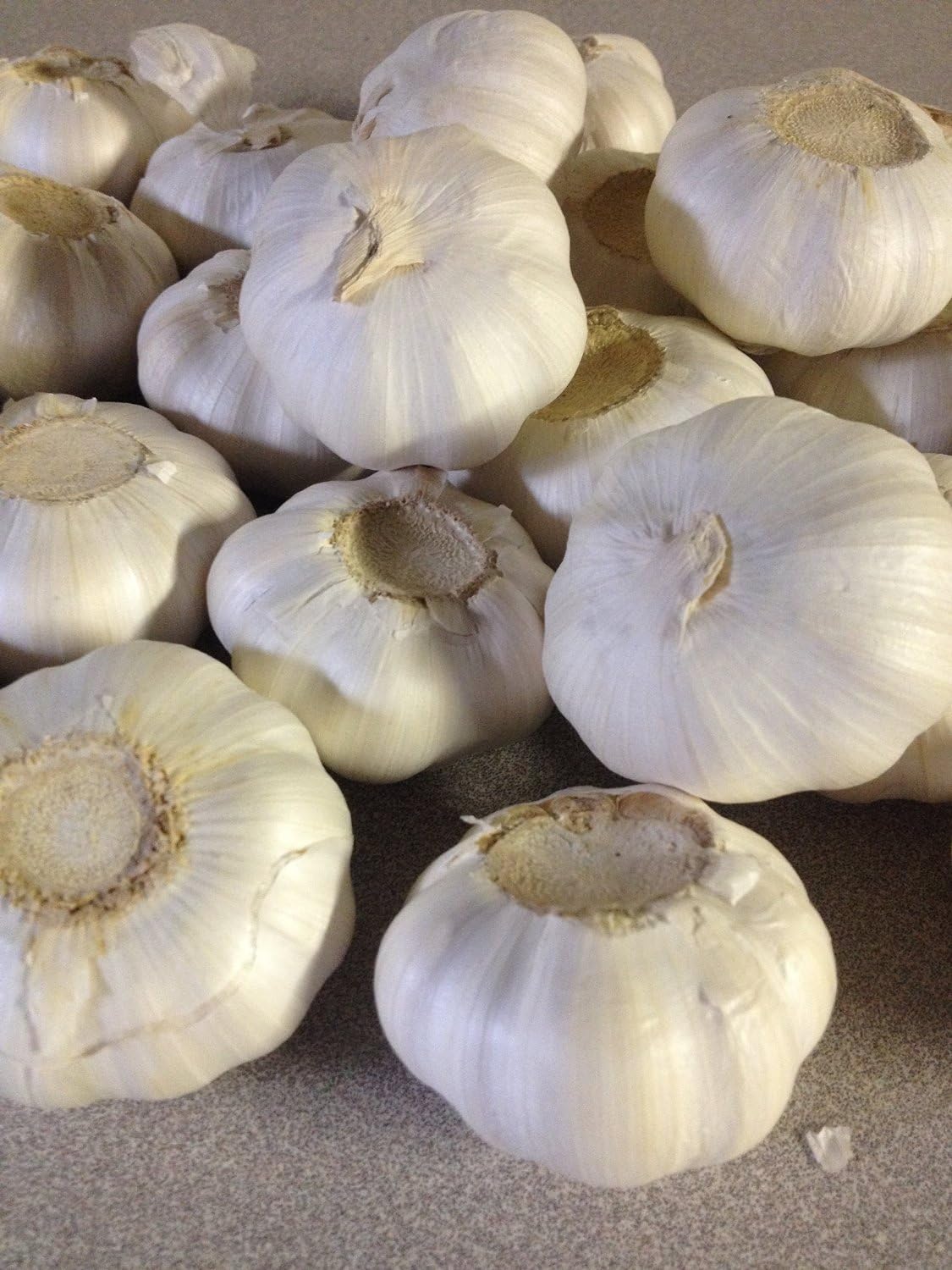 Garlic Bulbs, Whole Garlic Bulbs, 2 Pound , Ready for Planting or Preparing as a Great Flavoring for Any Dish. Jacobs Ladder
