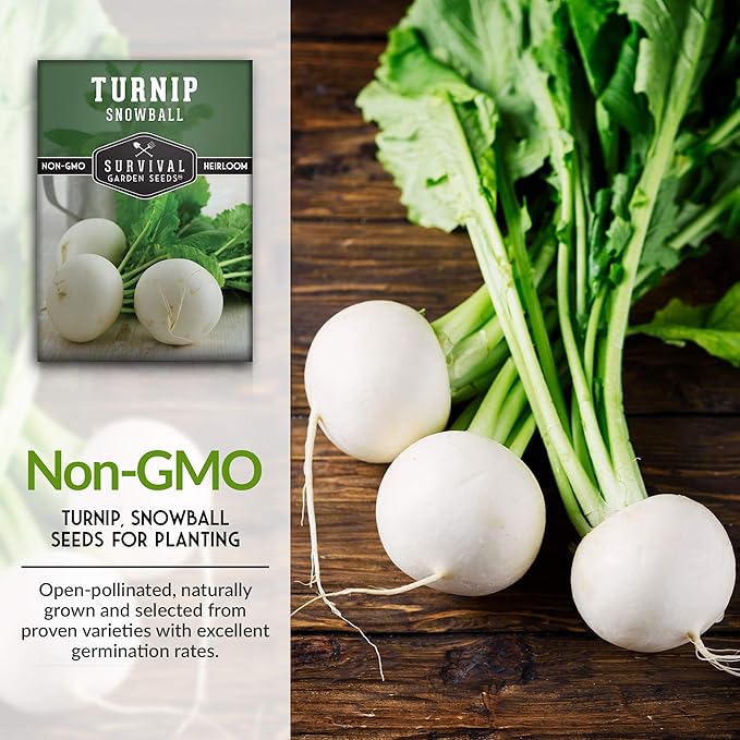 Survival Garden Seeds - Turnip Snowball Seed for Planting - 2 Packs with Instructions to Plant and Grow Root Vegetables and Greens in Your Home Vegetable Garden - Non-GMO Heirloom Variety - Seed Vault