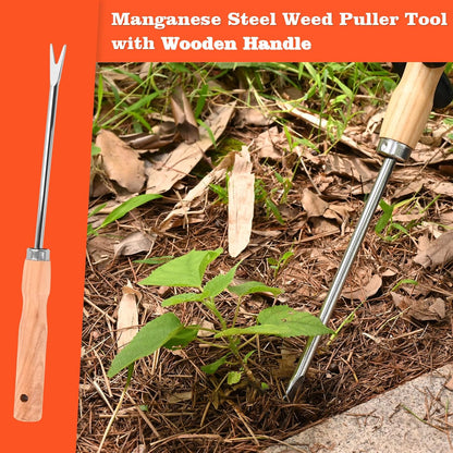 Wooden Handle Dandelion Weeder Tool - Polished Stainless Steel Dual - Forked Head Dandelion Weeder Puller Tool for Planting, Weeding, Flower & Vegetable Care with Nylon Nitrile Coated Gloves