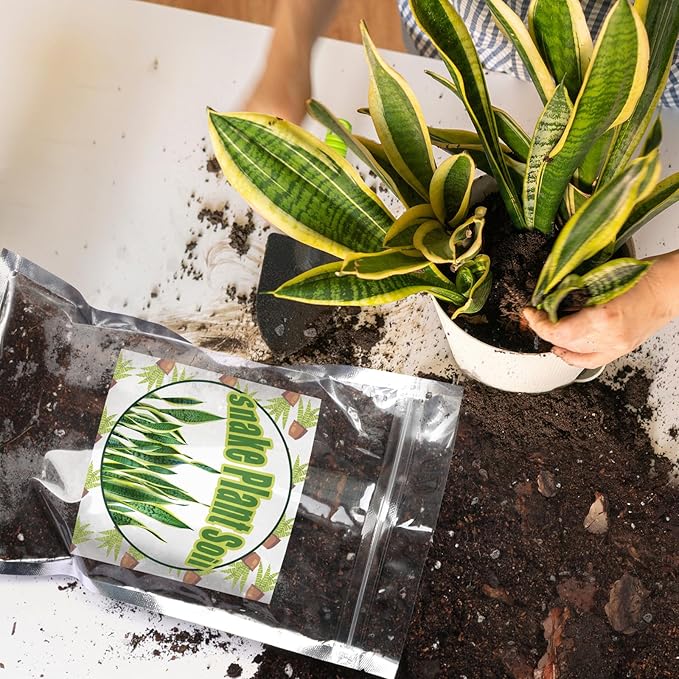 Premium Snake Plant Soil Mix 1qt, Indoor Plants Potting Mix for All Potted Snake Plants, Promote Healthy Growth and Easy Care