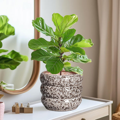 SQOWL Ceramic Plant Pots - 8 Inch Ceramic Planter for Indoor Plants Outdoor, Round Planter with Drainage Hole, Round Decorative Flower Pots, Living Room Office Garden Decor, Gardening Gifts, White