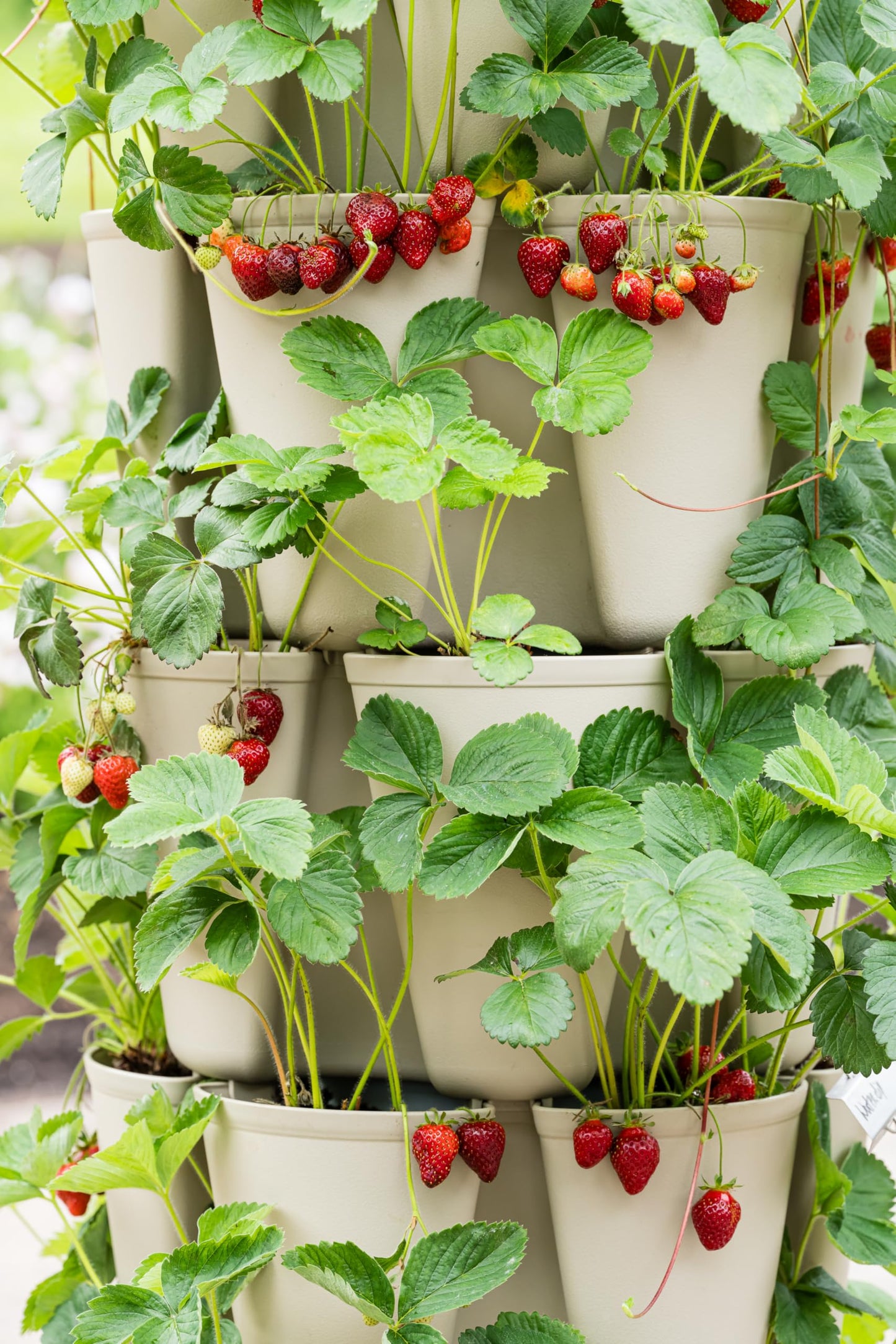 Greenstalk Patented Large 5 Tier Vertical Garden Planter with Patented Internal Watering System