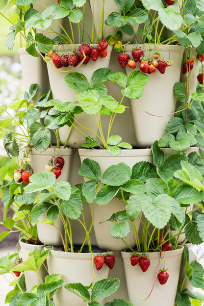 Greenstalk Patented Large 5 Tier Vertical Garden Planter with Patented Internal Watering System