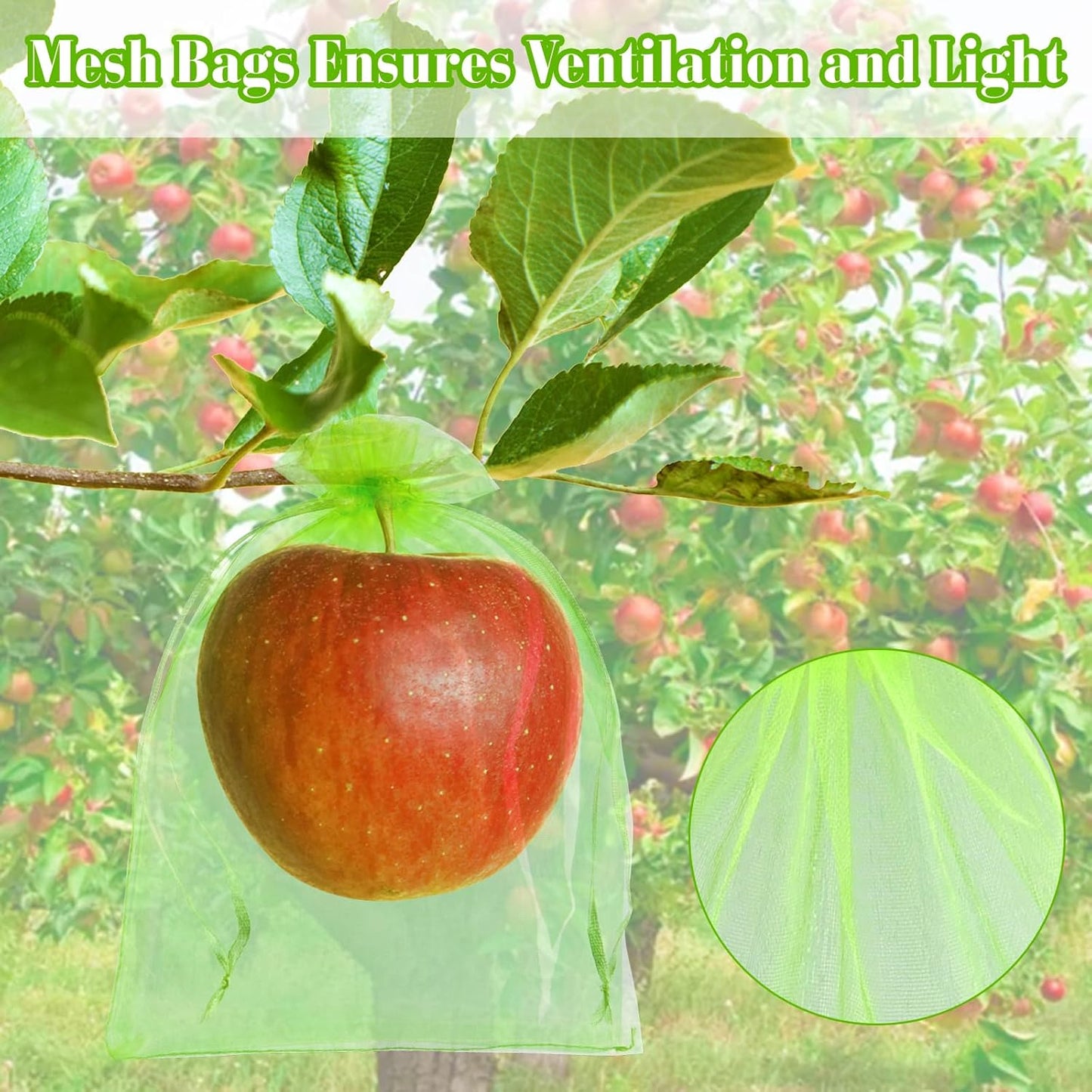 Morcheiong 60Pcs Protection Bags 6" x 8", Reusable Netting for Fruit Trees, Garden Mesh With Drawstring (Green)