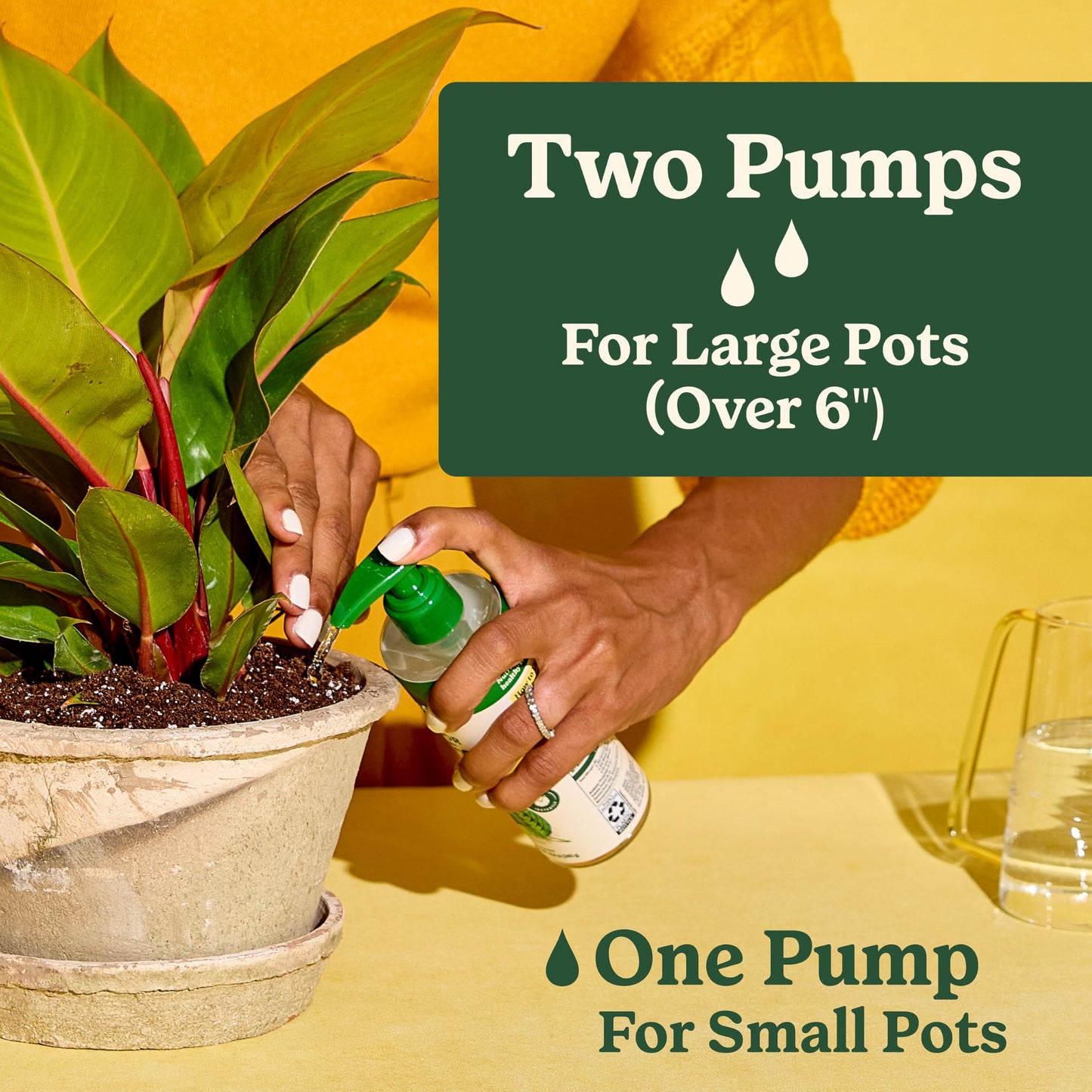 Miracle-Gro Indoor Plant Food for All Plants, 8 fl. oz. (2-Pack)