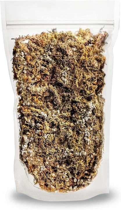 GARDENERA Sphagnum Moss Potting Mix for Carnivorous Plants, Moss and Perlite Blend for Potting Venus Fly Traps, Sarracenia, Pitcher Plants - 75% Sphagnum Moss + 25% Perlite - Made in USA - 3 Quart
