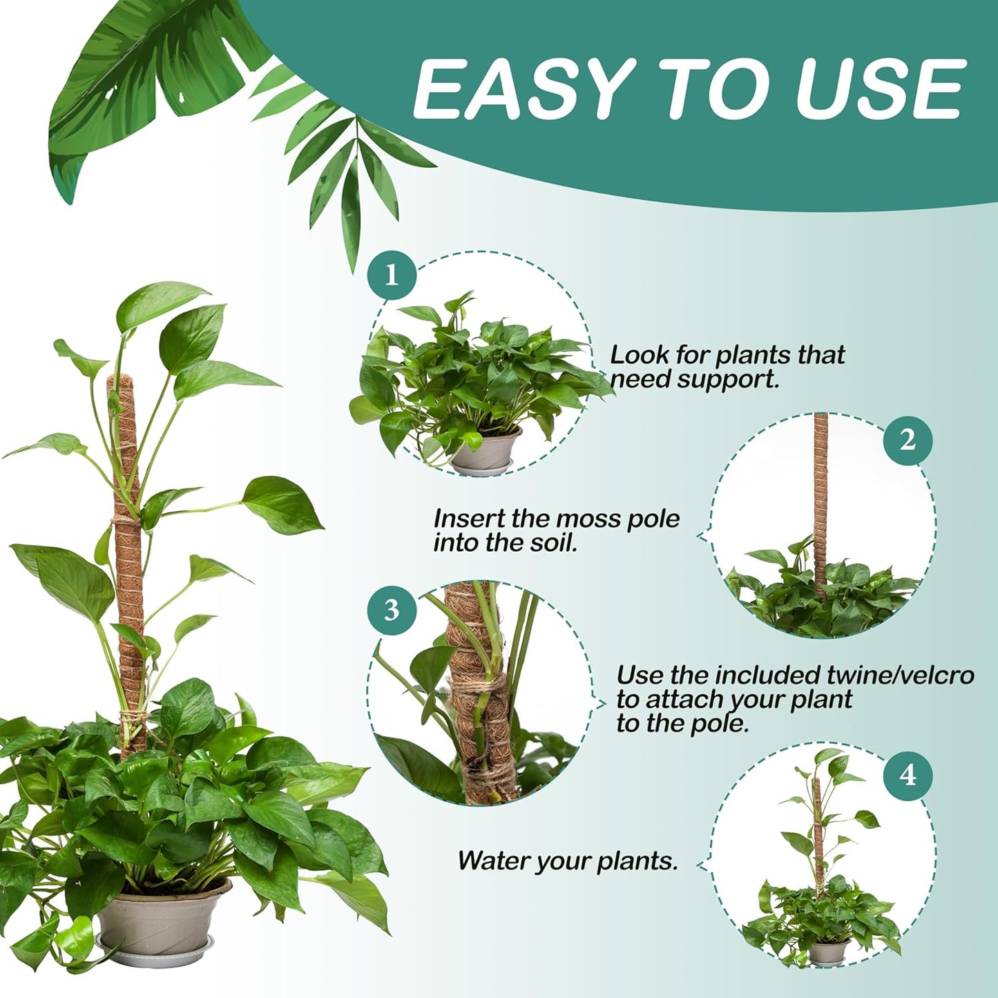 2 Pack Moss Pole for Plants (Moss Pole 48")