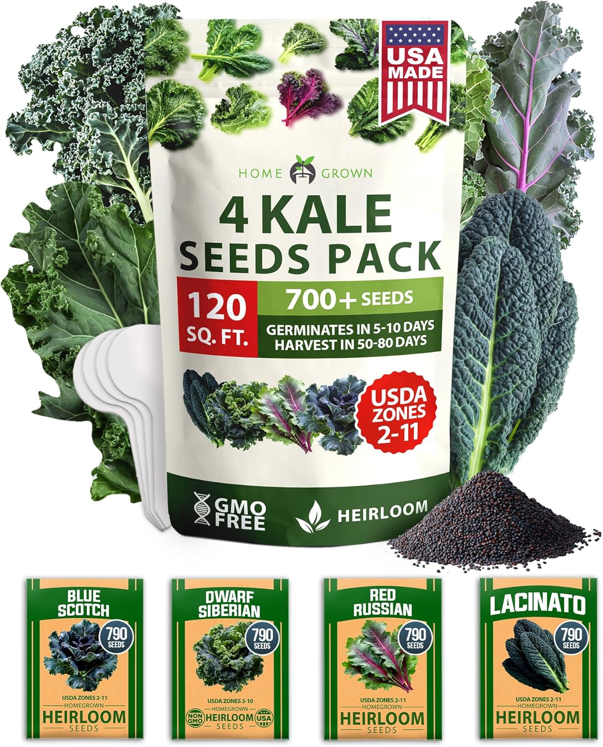 HOME GROWN 𝗨𝗦𝗔 𝗣𝗥𝗘𝗠𝗜𝗨𝗠 Heirloom Vegetable Seeds 𝗡𝗢𝗡-𝗚𝗠𝗢 Vegetable Seeds for Planting Home Garden, Beans, Carrots, Peppers, Cucumber, Kale, Pepper Seeds, Tomato (4 Kale)