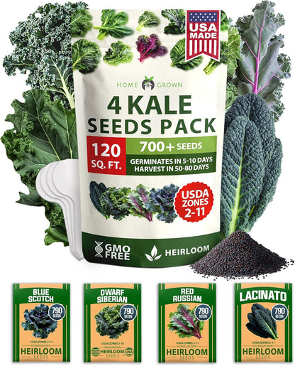 HOME GROWN 𝗨𝗦𝗔 𝗣𝗥𝗘𝗠𝗜𝗨𝗠 Heirloom Vegetable Seeds 𝗡𝗢𝗡-𝗚𝗠𝗢 Vegetable Seeds for Planting Home Garden, Beans, Carrots, Peppers, Cucumber, Kale, Pepper Seeds, Tomato (4 Kale)
