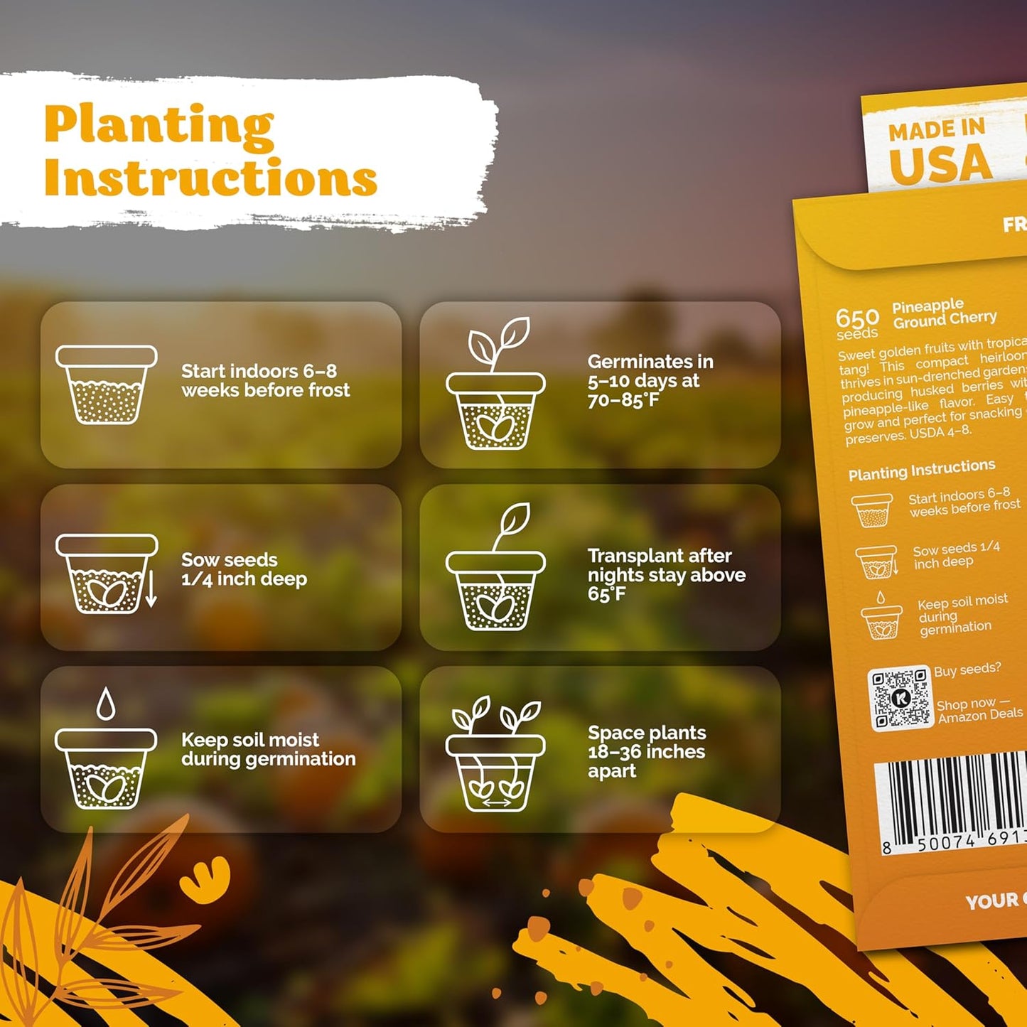 KVITER 650 Aunt Molly Ground Cherry Seeds for Planting (Physalis pruinosa) – Non GMO & Heirloom Pineapple Ground Husk Cherry Tomatoes, Organic Fruit Seeds – Tropical Flavor Berries