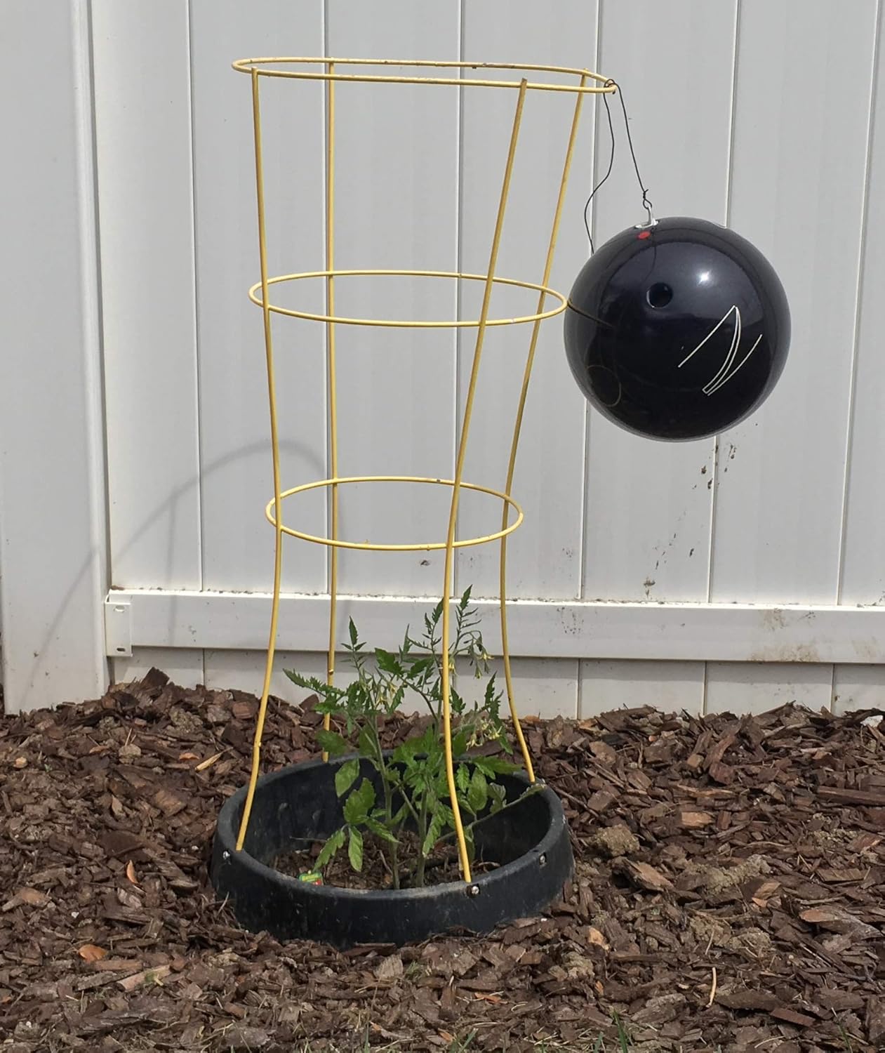 6 Pack of VegSTABLE Rings (Veggies Grow Up, Cages Won't Fall Over). Watering Tomatoes and Vegetables and Anchoring Cages