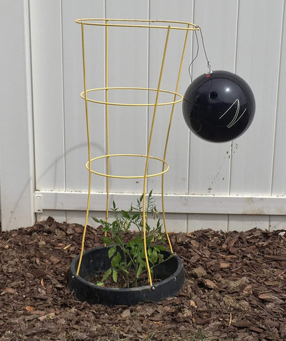 6 Pack of VegSTABLE Rings (Veggies Grow Up, Cages Won't Fall Over). Watering Tomatoes and Vegetables and Anchoring Cages
