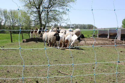 Starkline 35"x164' Electric Netting All-in-One Solar Kit for Goats, Sheep, Gardens, Beehives, Dogs, and More for Backyards, Homesteads, Farms and Ranches