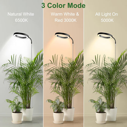 Wolezek Grow Lights for Indoor Plants Full Spectrum, 80 LEDs 3 Colors, 65in Large Plant Lights for Indoor Growing with 360°Gooseneck, 6/12/16H Timer, 5 Brightness, Height Adjustable, Black 3 Pack