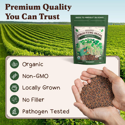 Seedboy Organic Non-GMO Broccoli Seeds for Sprouting - USA Grown Microgreens Sprouting Seeds - 8 oz Bag Makes 8 Quarts / 24 Servings (Di Cicco Broccoli)