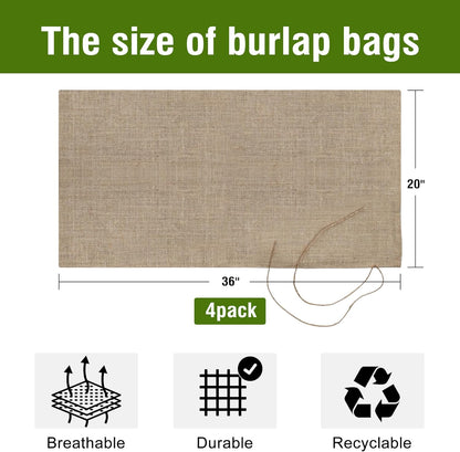 Agfabric Burlap Sacks 4pack 20"×36" Burlap Storage Bag with Strings, 100% Natural Jute, Reusable Potato Storage Bag for Food Storage Plant Gardening Planting, Food Grade, Set of 4