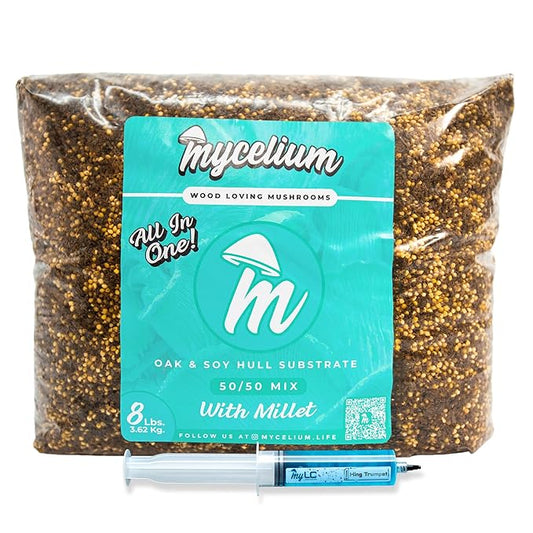Mycelium’s King Trumpet Gourmet Mushroom Kit | 8LBS Oak & Soy Hull with Millet Blend | 20ML Liquid Culture Syringe | All-in-One Complete Cultivation Kit | Pre-Sterilized - Home Growing Made Easy
