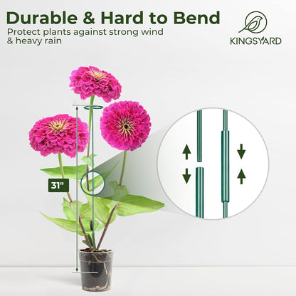 Kingsyard 5 Pack Plant Stakes and Supports - 4.5mm Thick Adjustable Sizes 16 or 32 Inch, Metal Monstera Plant Supports for Outdoor Plants and Indoor Plants, Plant Stem Support for Flowers Tomatoes