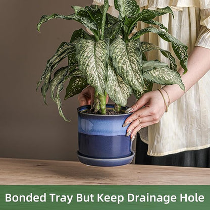 6 Inch Plant Pot: Ceramic Planter with Drainage Hole & Saucer for Indoor Outdoor Plants - Flowerpot with Bonded Tray for Home Office - Blue Reactive Glaze