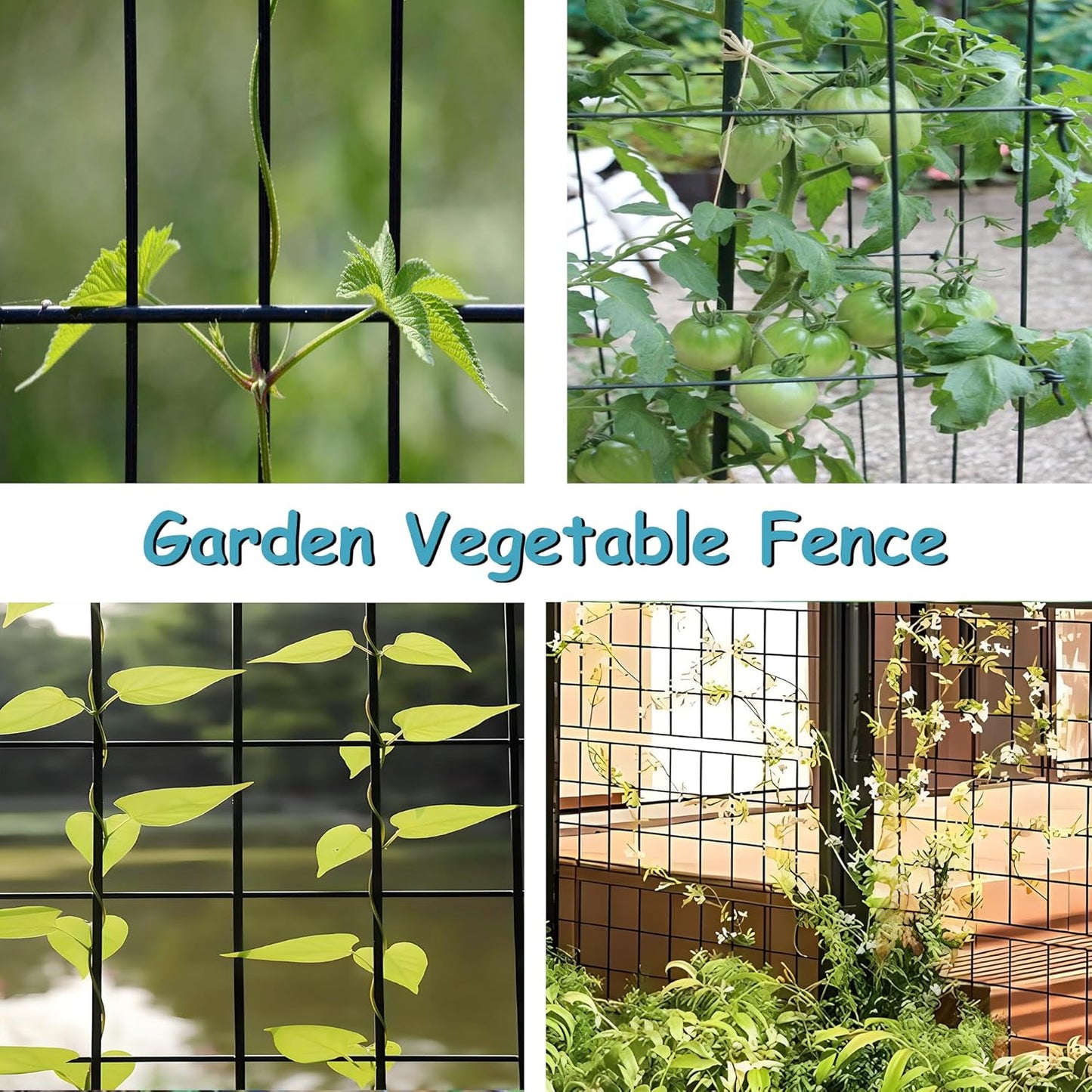 Black Metal Garden Fence, 72inch(H) x 50ft(L), 2 inch x 3 inch,14GA 2/3/4/5/6 Ft Tall Chicken Wire PVC Coated Welded Wire Mesh Roll for Dogs Border Yard Vegetable Plant Protection Poultry Netting