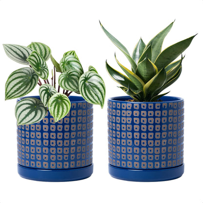 D'vine Dev Set of 2 Ceramic Planter Pots with Drainage Hole and Saucer, 6 Inch Plant Pots for Plants Indoor Houseplants, Blue, 99-Z-A-6-Y