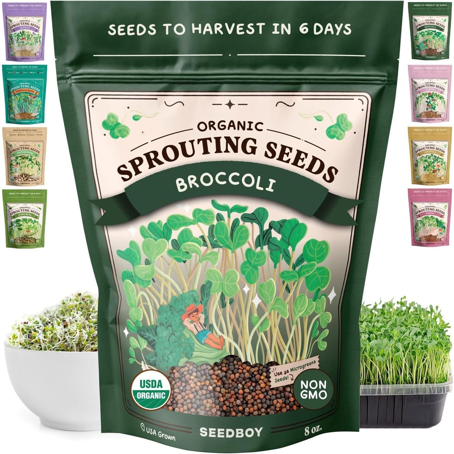 Seedboy Organic Non-GMO Broccoli Seeds for Sprouting - USA Grown Microgreens Sprouting Seeds - 8 oz Bag Makes 8 Quarts / 24 Servings (Di Cicco Broccoli)
